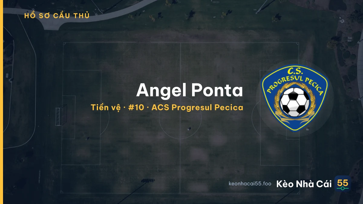 Angel Ponta — ACS Progresul Pecica