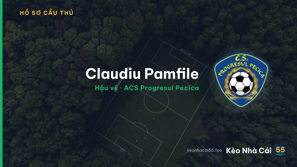 Claudiu Pamfile — ACS Progresul Pecica