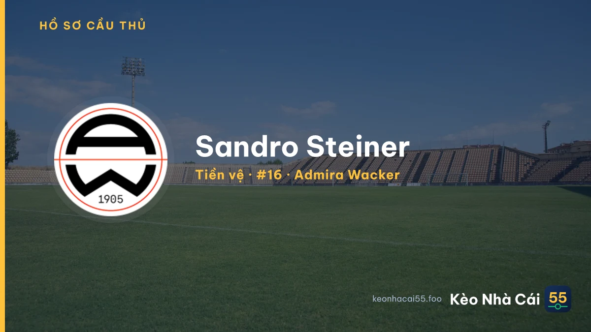 Sandro Steiner — Admira Wacker