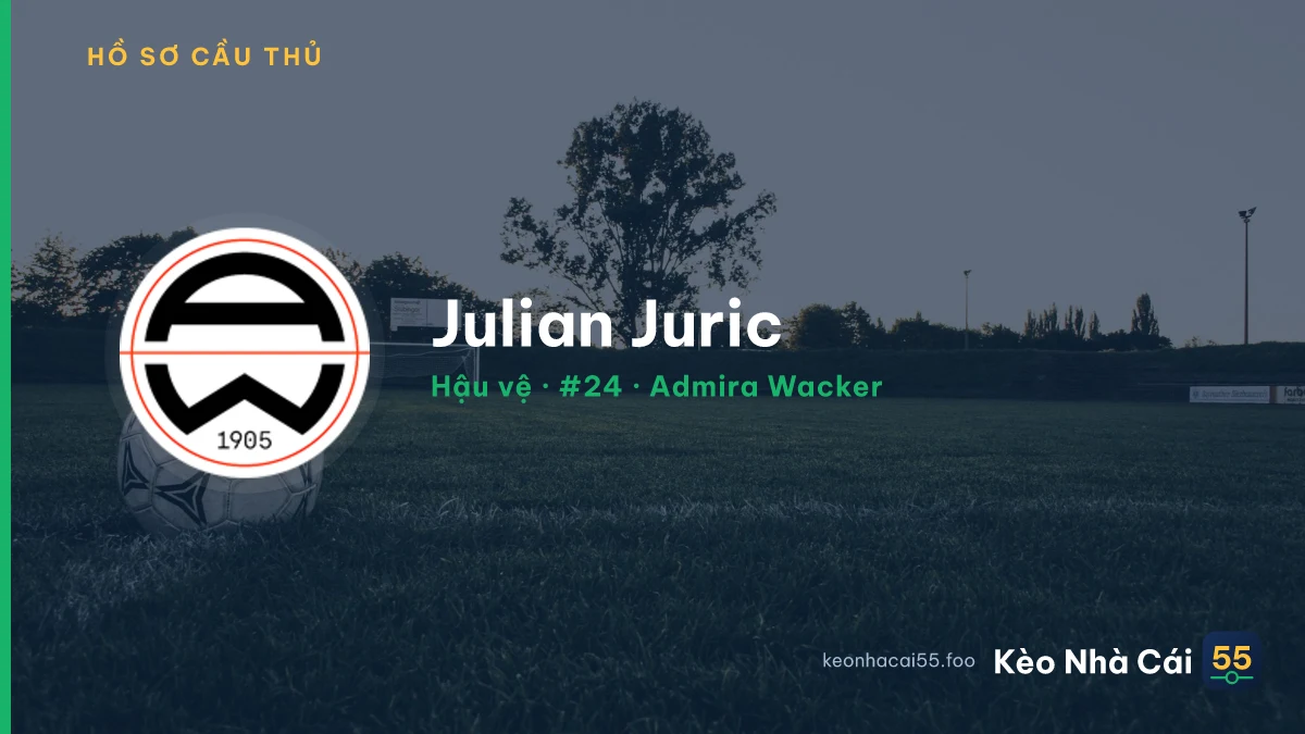 Julian Juric — Admira Wacker