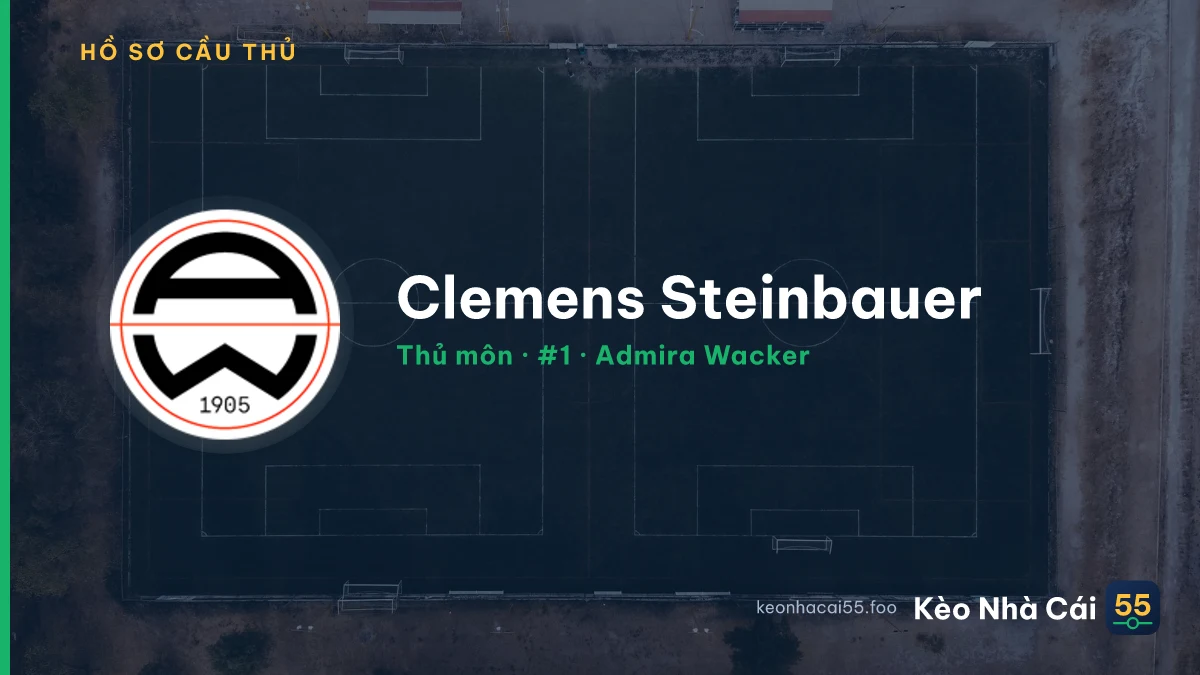Clemens Steinbauer — Admira Wacker