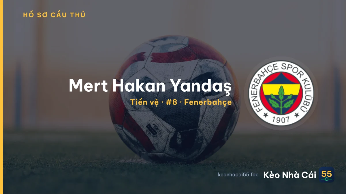 Mert Hakan Yandaş — Fenerbahçe