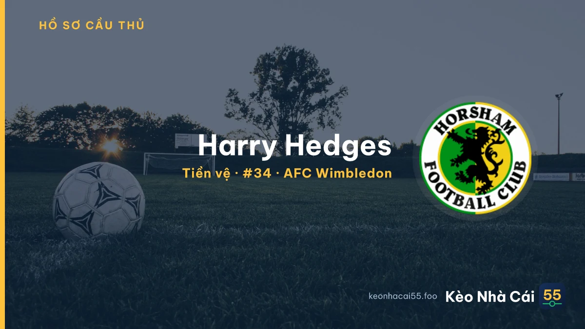 Harry Hedges — AFC Wimbledon