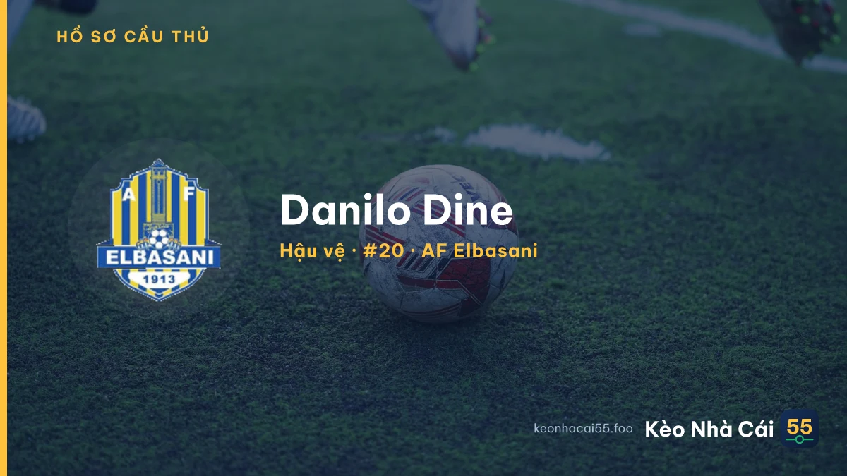 Danilo Dine — AF Elbasani