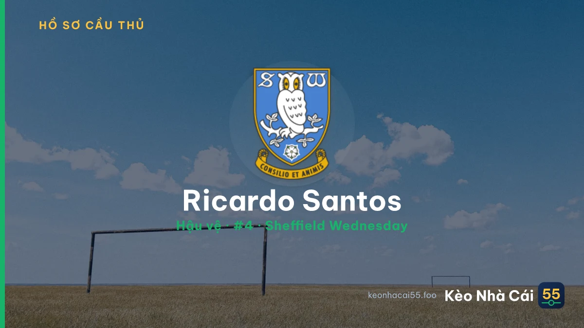 Ricardo Santos — Sheffield Wednesday