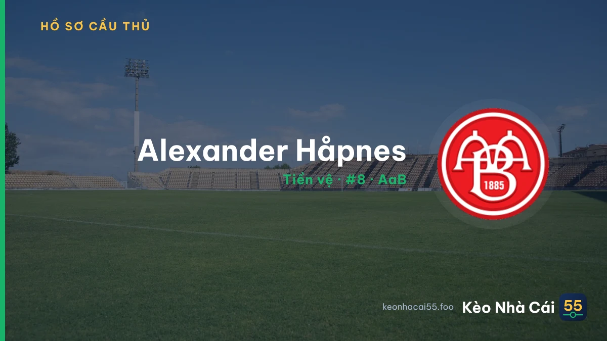 Alexander Håpnes — AaB