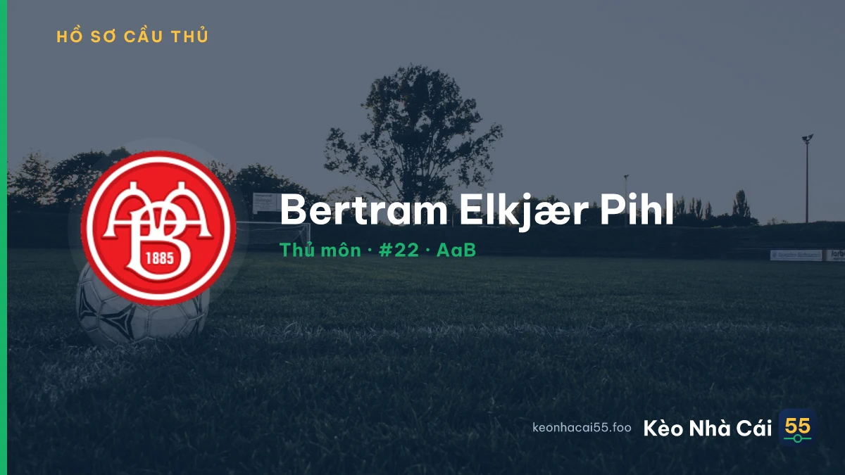 Bertram Elkjær Pihl — AaB