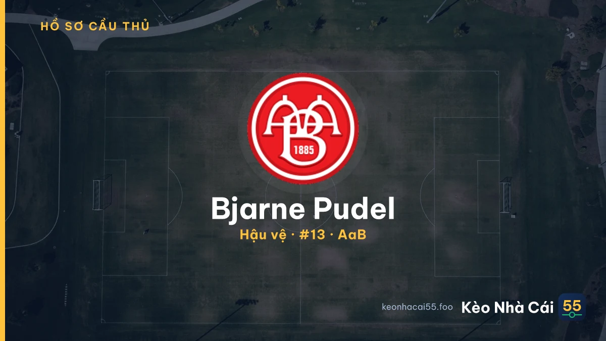 Bjarne Pudel — AaB