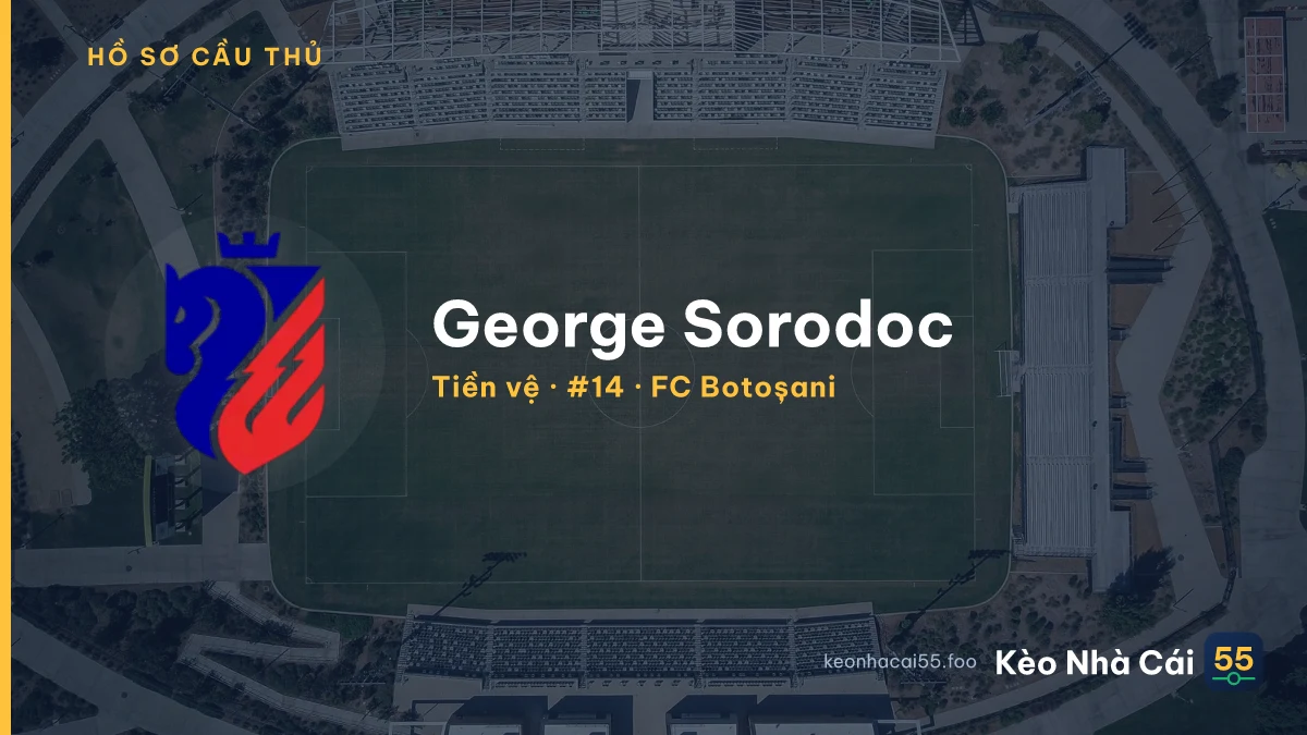 George Sorodoc — FC Botoșani