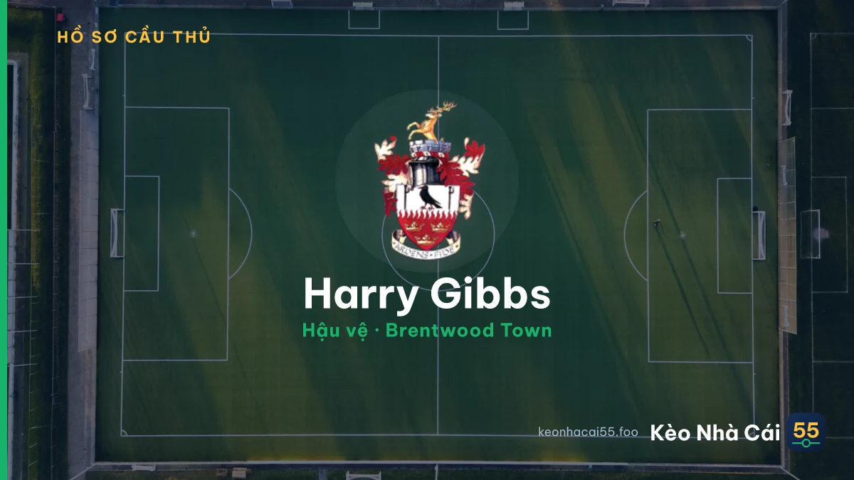 Harry Gibbs — Brentwood Town