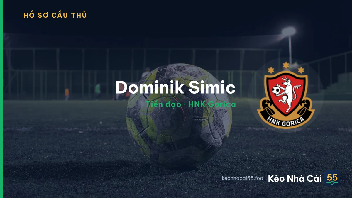 Dominik Simic — HNK Gorica