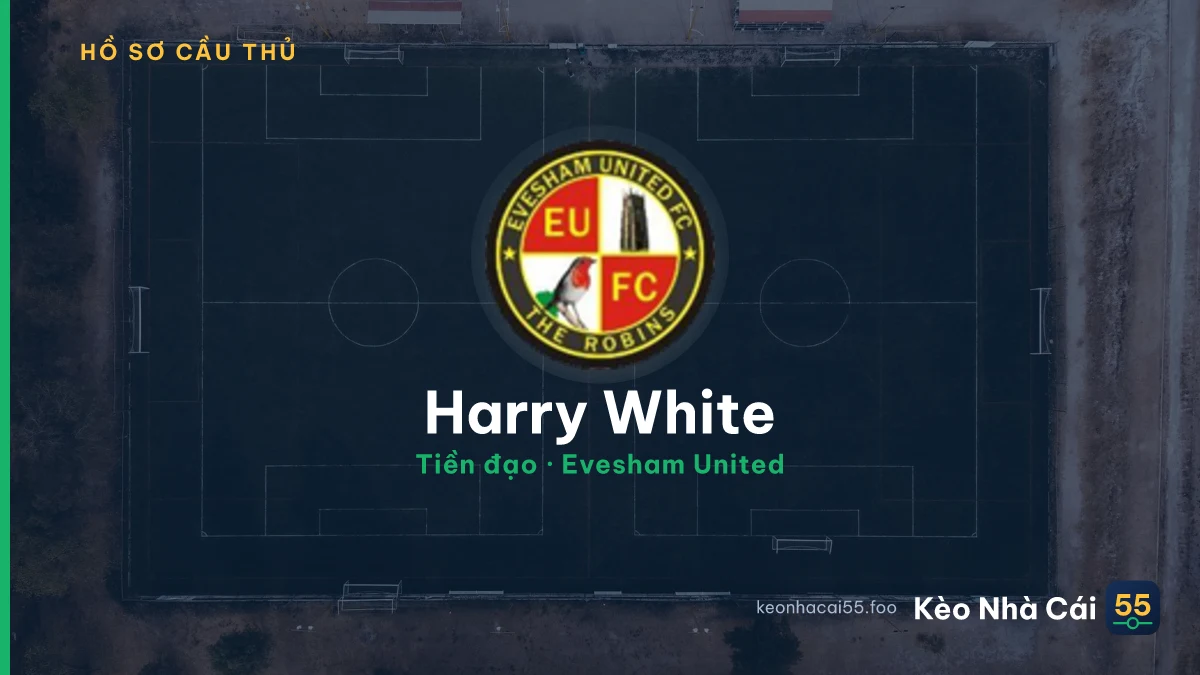 Harry White — Evesham United