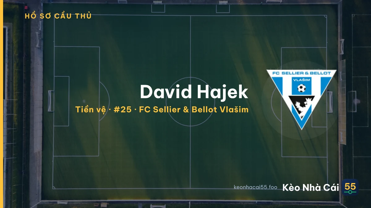 David Hajek — FC Sellier & Bellot Vlašim