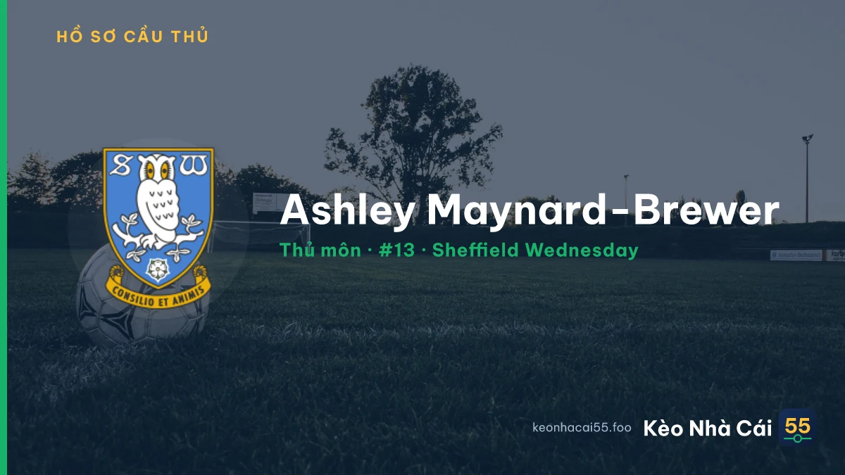 Ashley Maynard-Brewer — Sheffield Wednesday