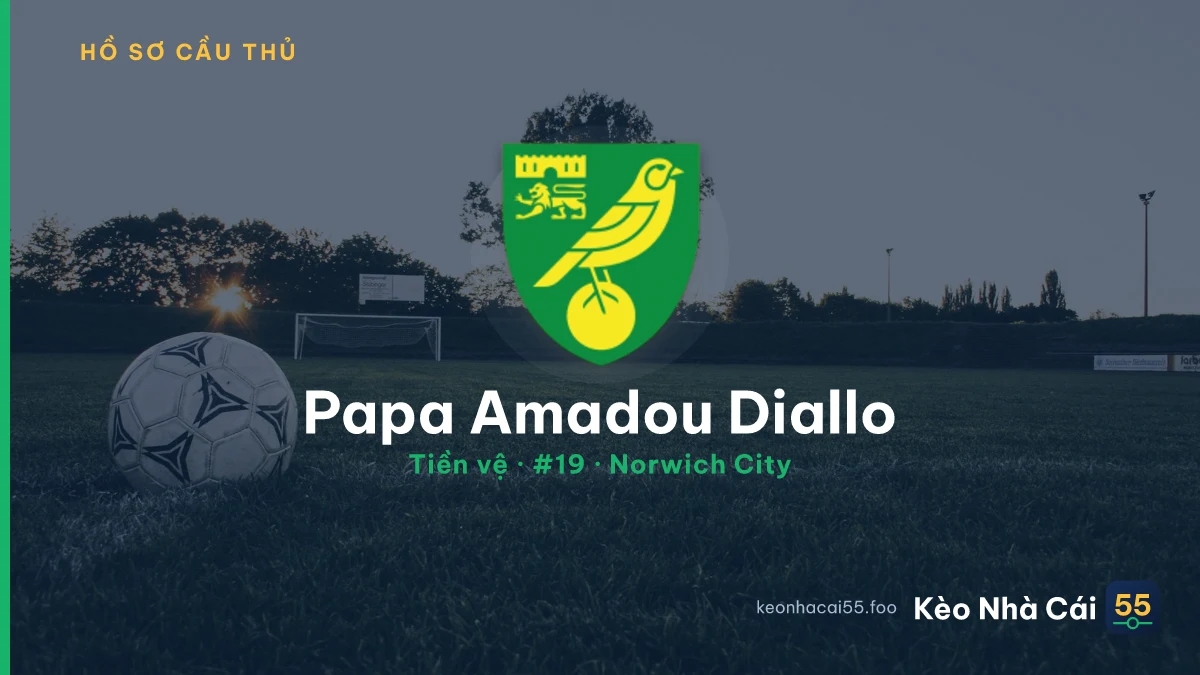 Papa Amadou Diallo — Norwich City