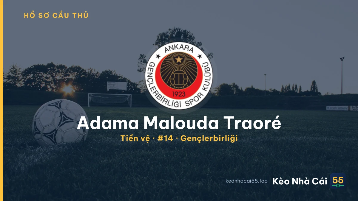 Adama Malouda Traoré — Gençlerbirliği