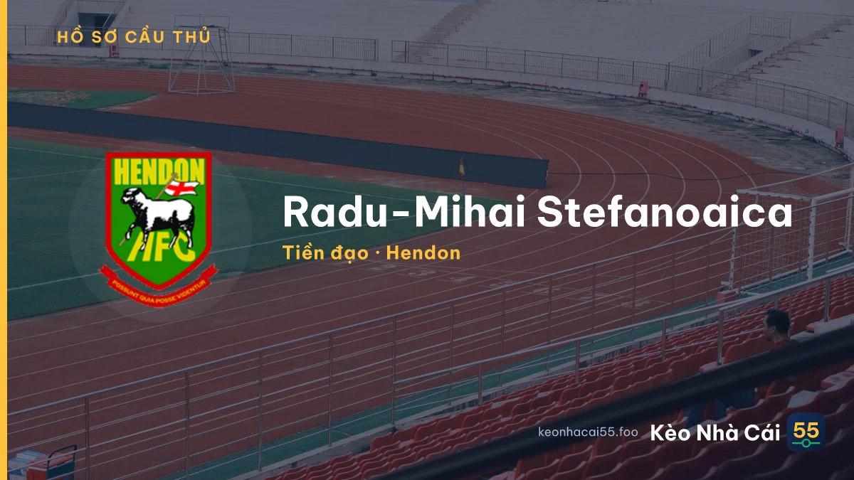 Radu-Mihai Stefanoaica — Hendon