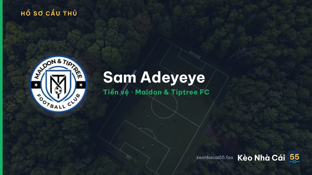 Sam Adeyeye — Maldon & Tiptree FC