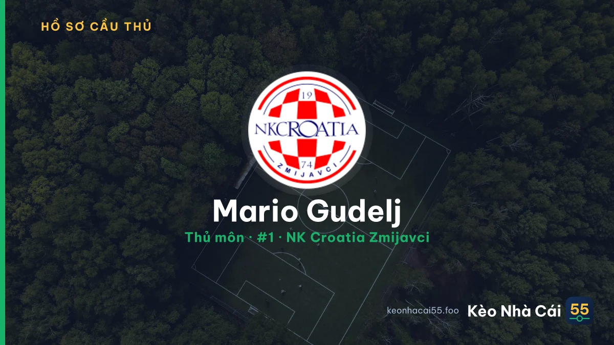 Mario Gudelj — NK Croatia Zmijavci