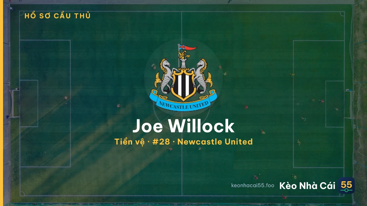 Joe Willock — Newcastle United