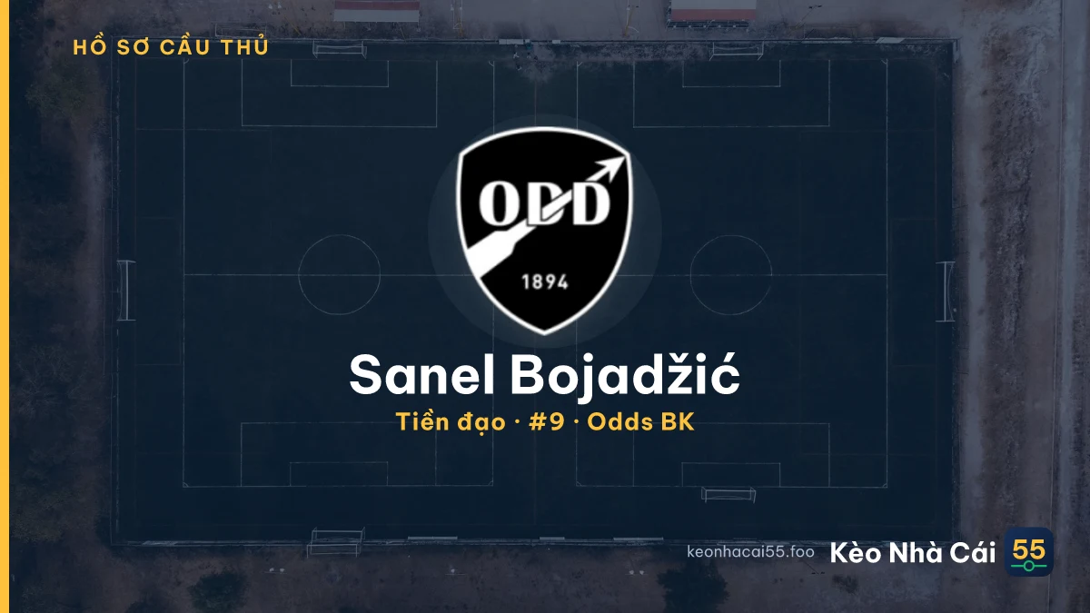 Sanel Bojadžić — Odds BK