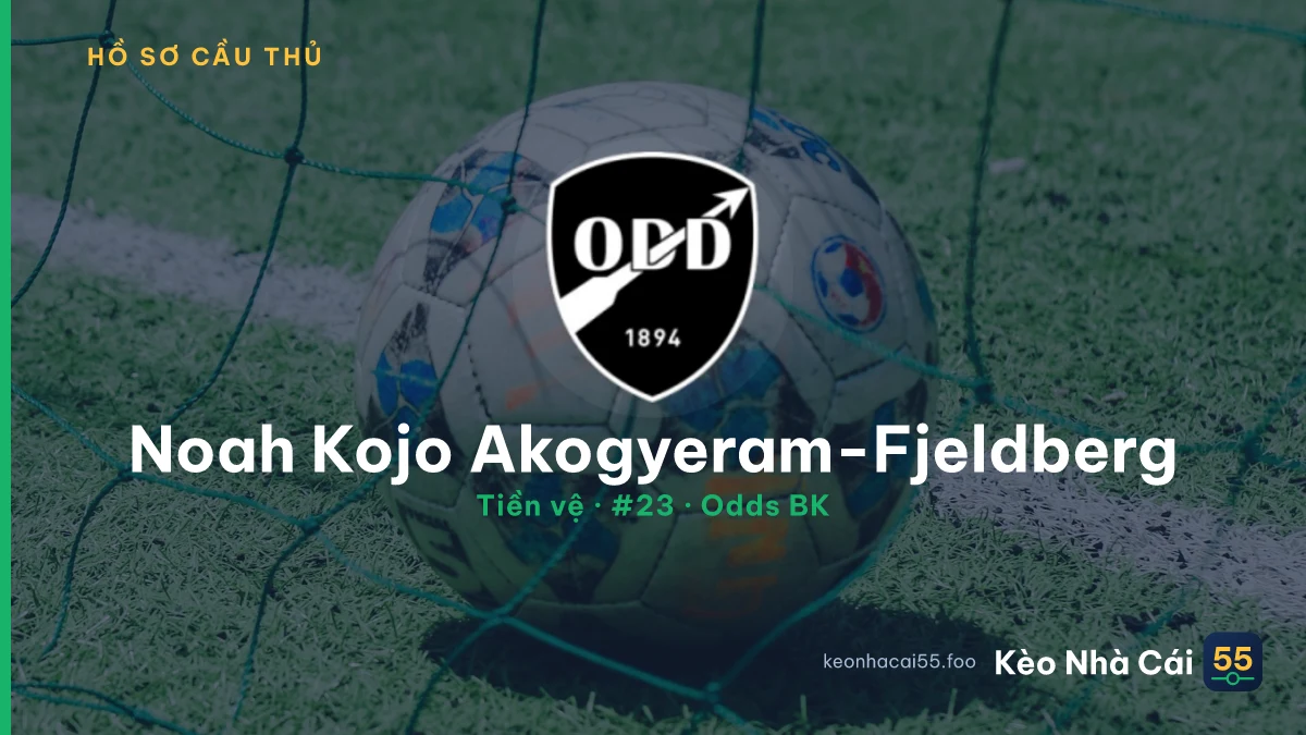 Noah Kojo Akogyeram-Fjeldberg — Odds BK