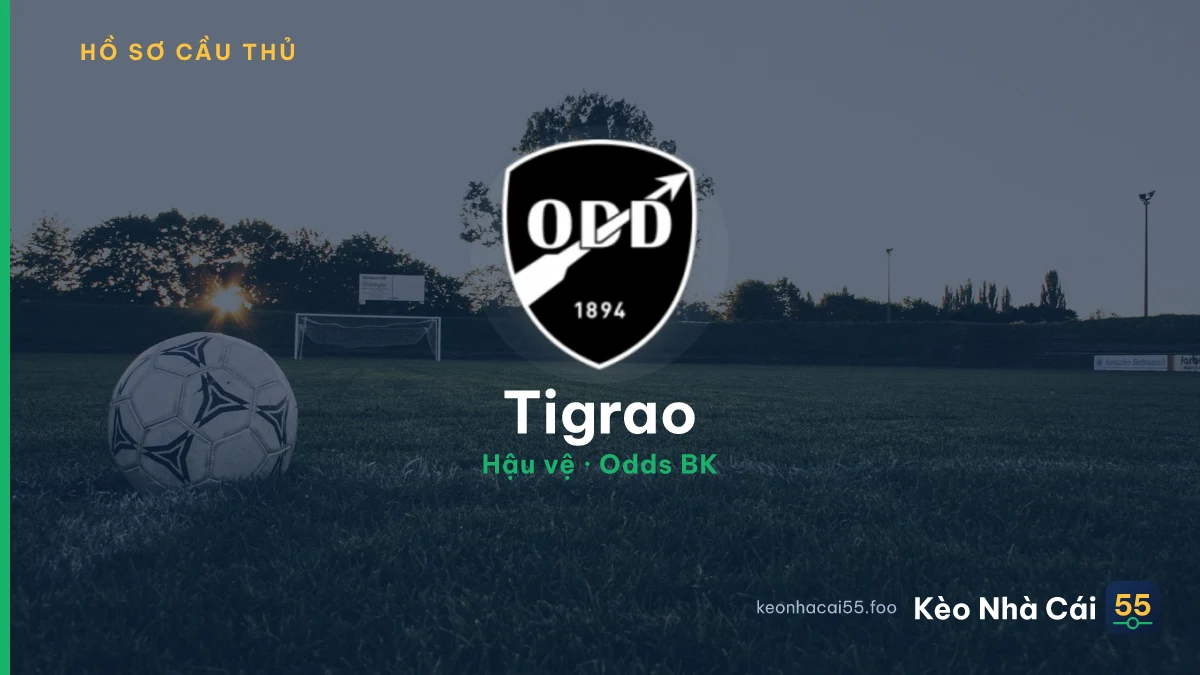 Tigrao — Odds BK