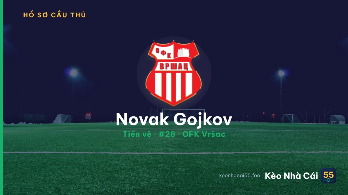 Novak Gojkov — OFK Vršac