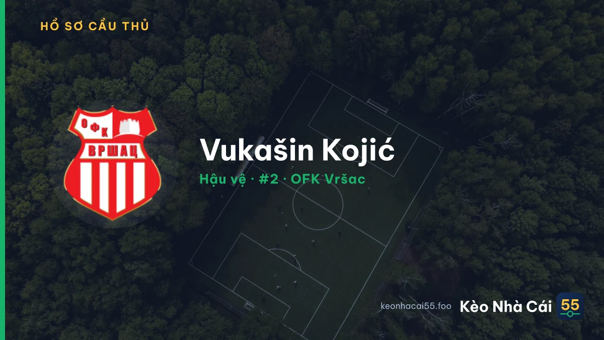 Vukašin Kojić — OFK Vršac