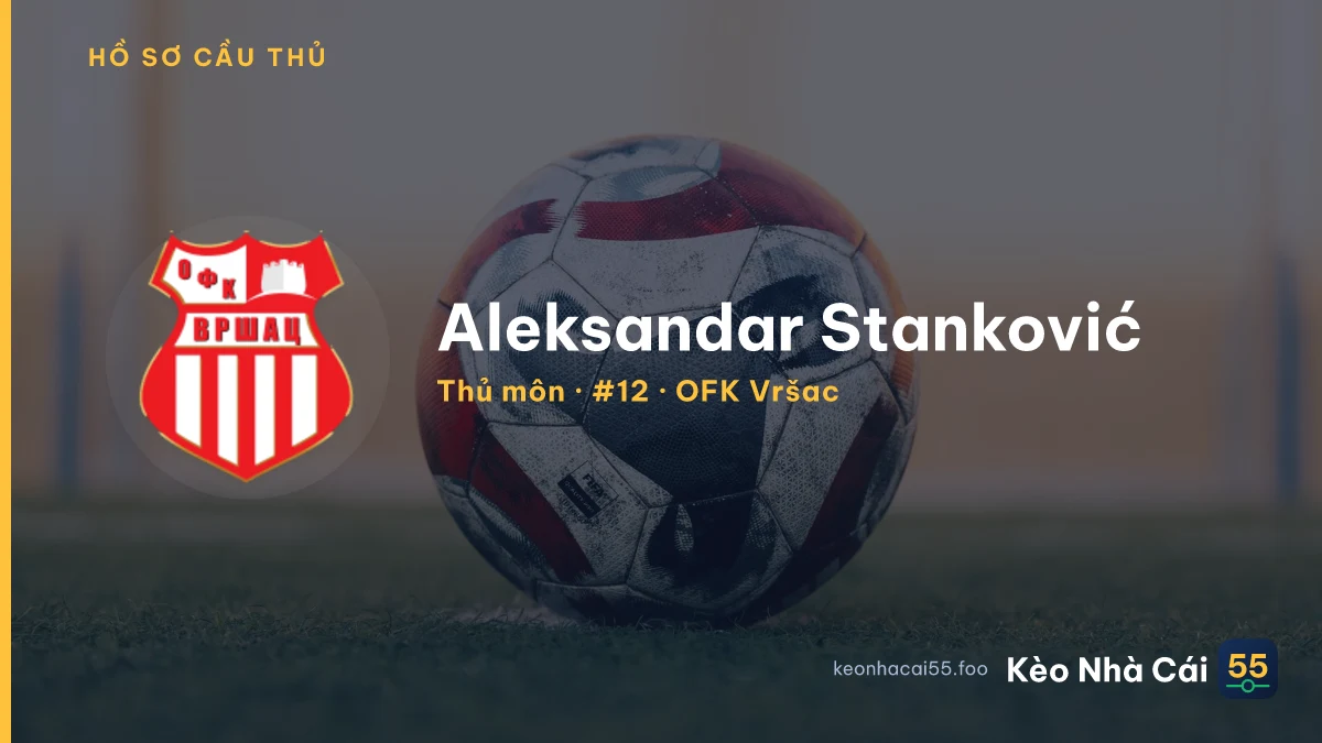 Aleksandar Stanković — OFK Vršac