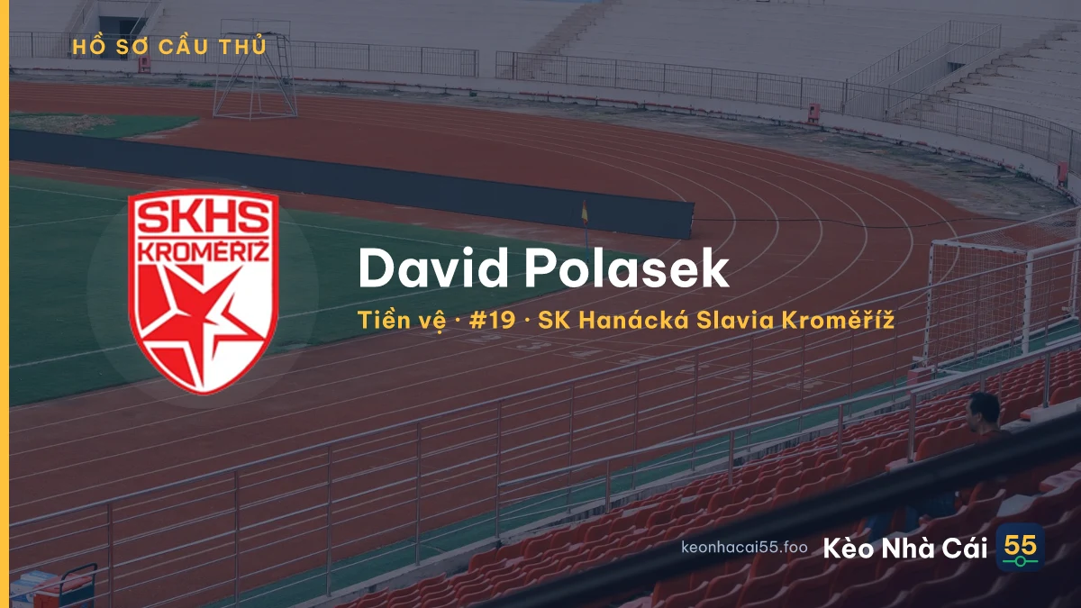 David  Polasek — SK Hanácká Slavia Kroměříž