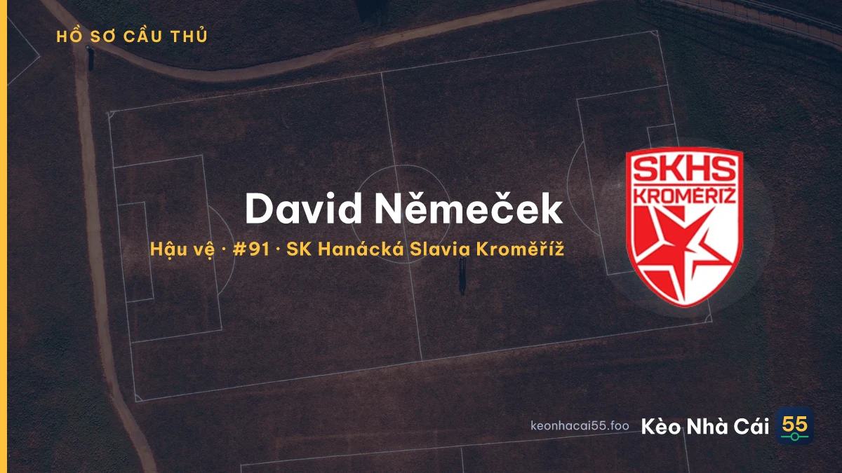 David Němeček — SK Hanácká Slavia Kroměříž