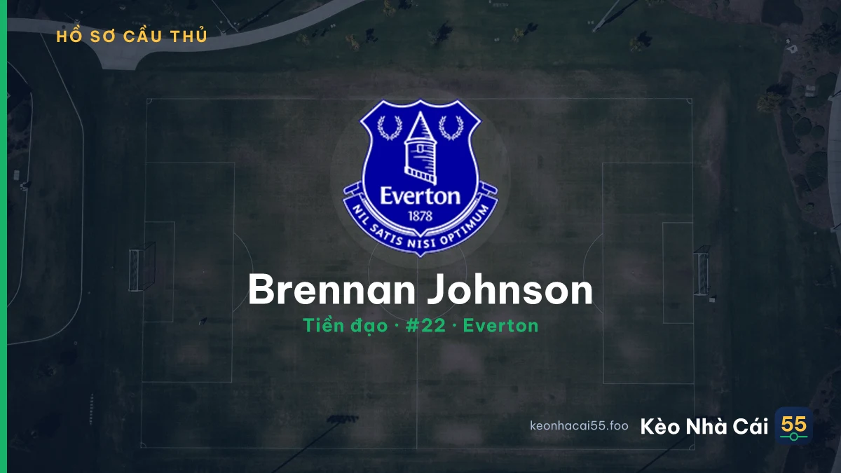 Brennan Johnson — Everton