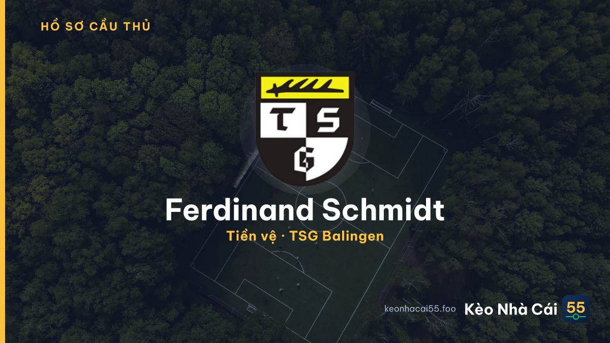 Ferdinand Schmidt — TSG Balingen