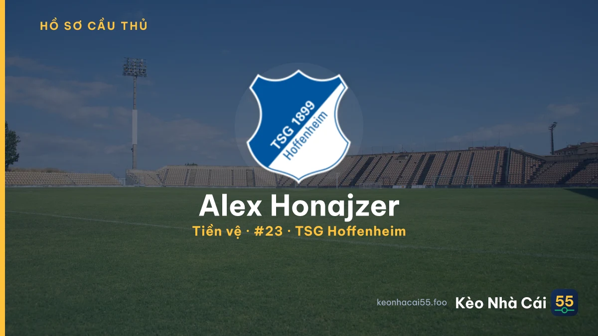Alex Honajzer — TSG Hoffenheim