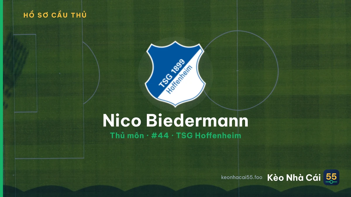 Nico Biedermann — TSG Hoffenheim
