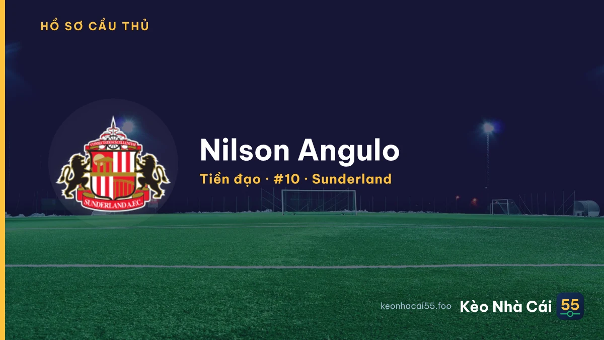 Nilson Angulo — Sunderland