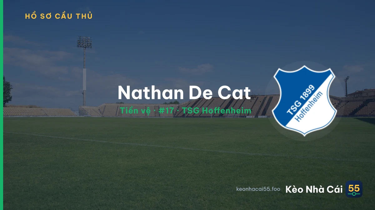 Nathan De Cat — TSG Hoffenheim