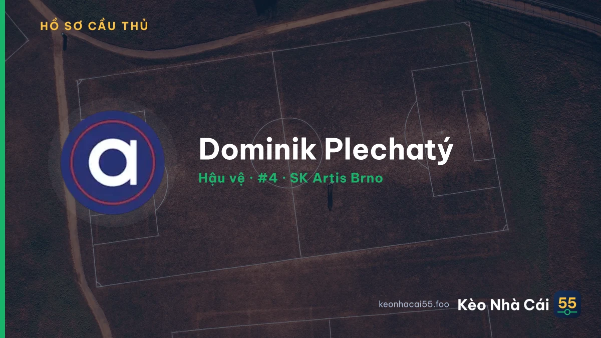Dominik Plechatý — SK Artis Brno
