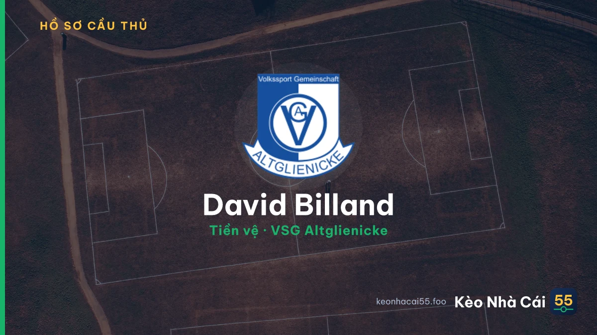 David Billand — VSG Altglienicke