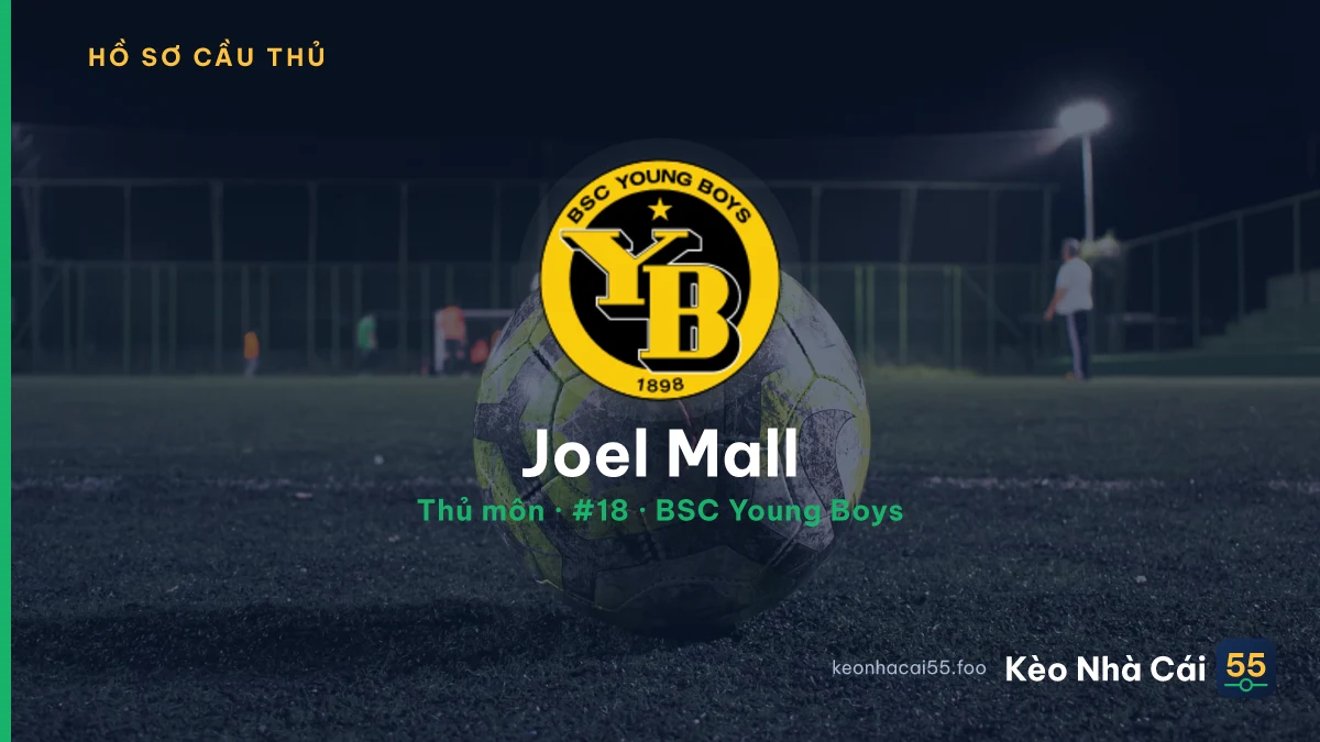 Joel Mall — BSC Young Boys