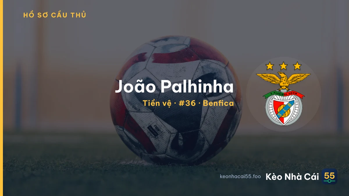 João Palhinha — Benfica
