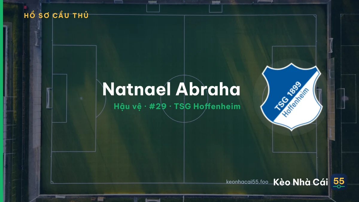 Natnael Abraha — TSG Hoffenheim