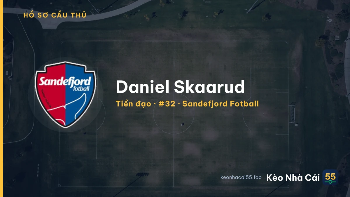 Daniel Skaarud — Sandefjord Fotball