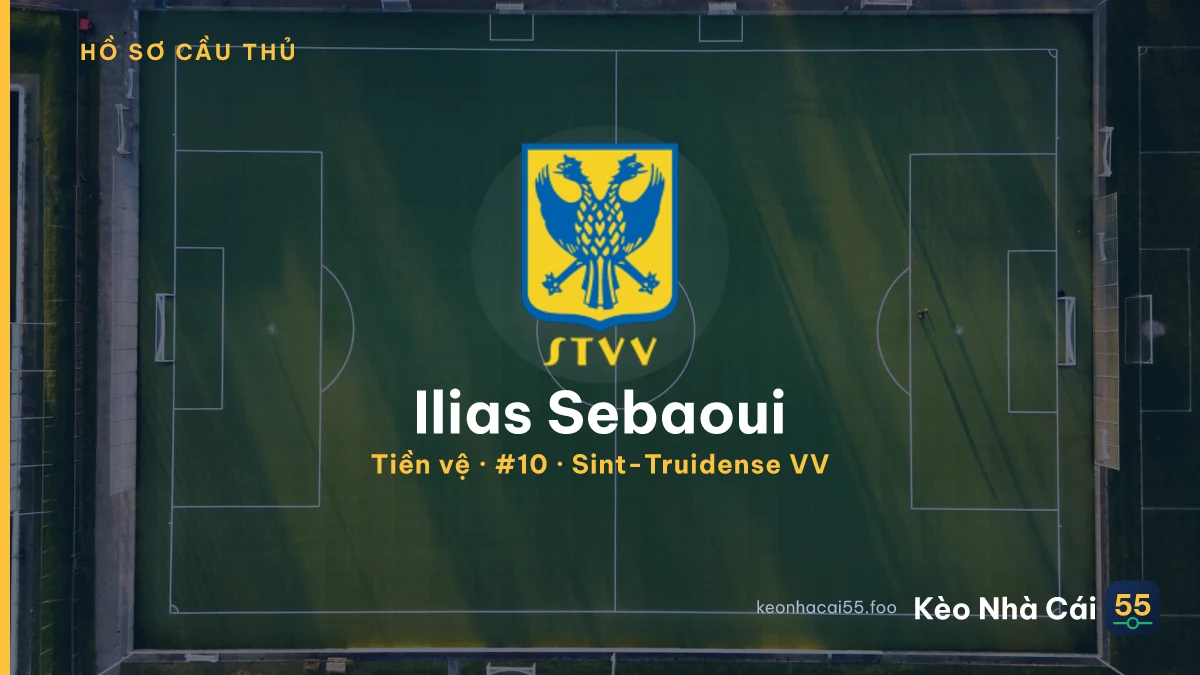 Ilias Sebaoui — Sint-Truidense VV
