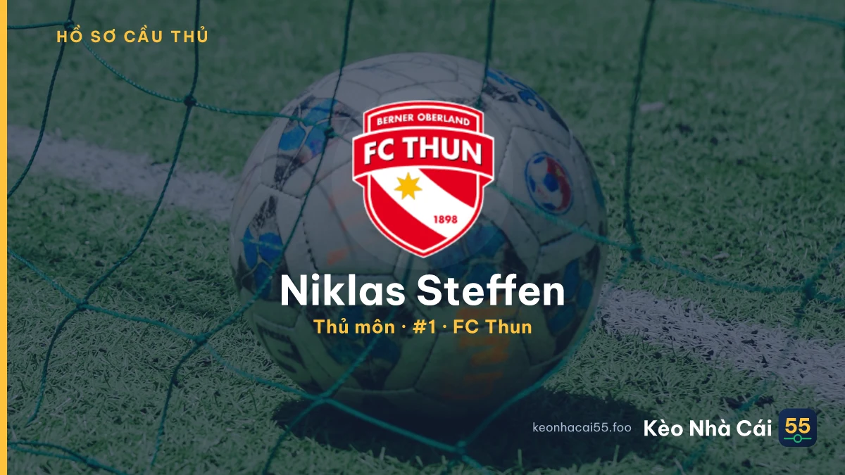 Niklas Steffen — FC Thun