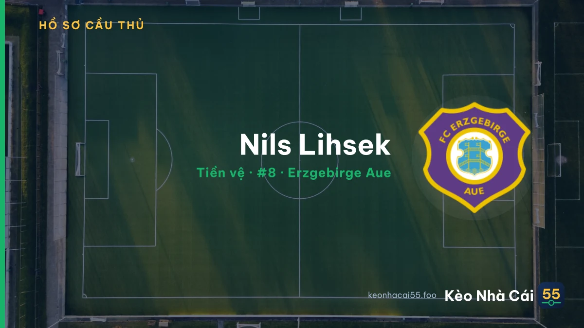 Nils Lihsek — Erzgebirge Aue