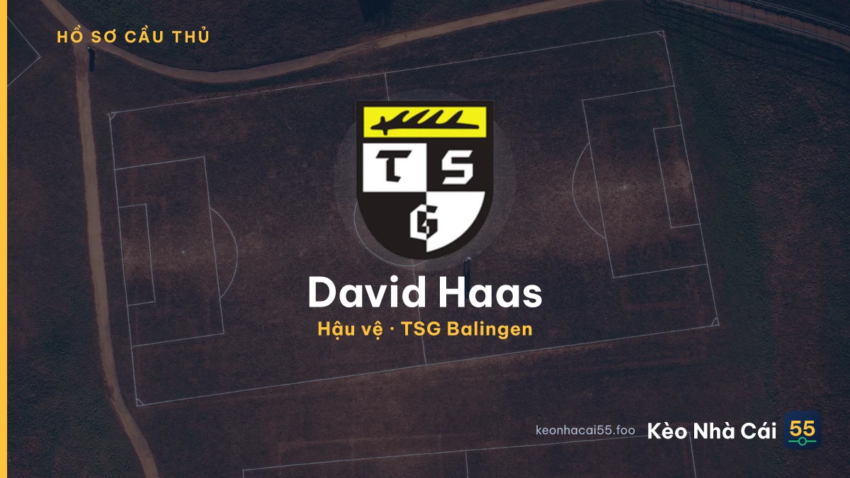 David Haas — TSG Balingen