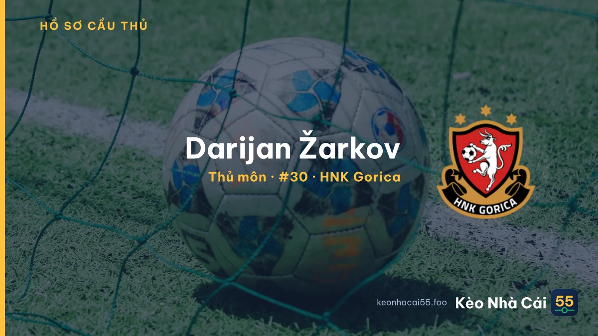Darijan Žarkov — HNK Gorica