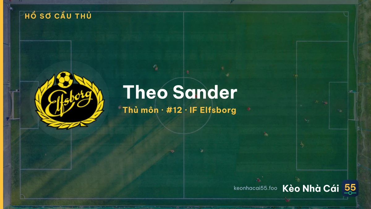 Theo Sander — IF Elfsborg